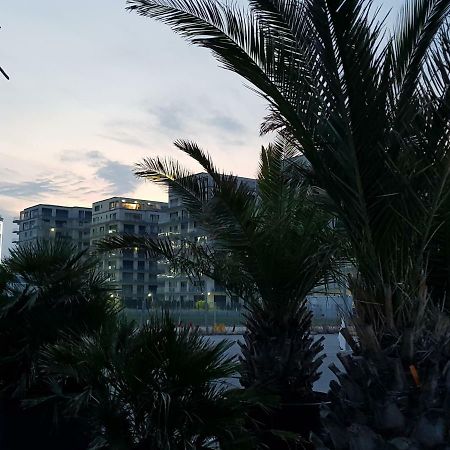 The Horse - De Silva Residence Mamaia Exterior photo